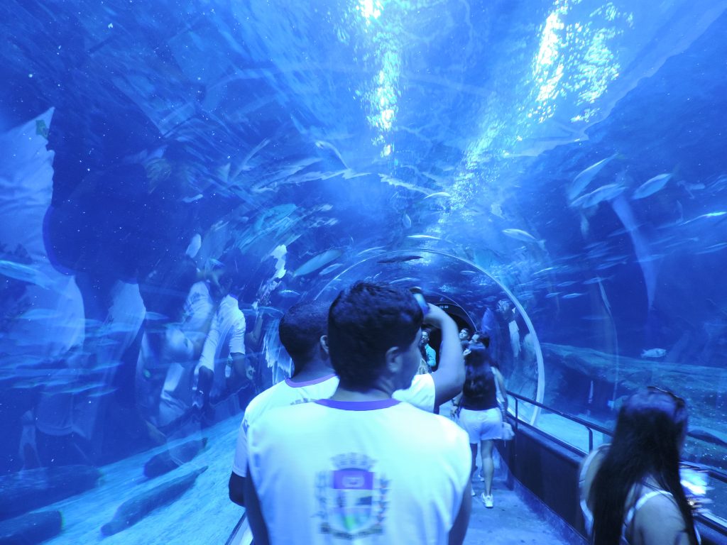 estudantes-de-mesquita-visitam-o-aquario