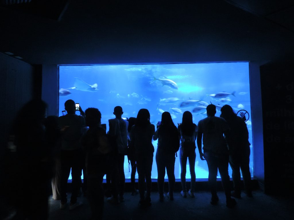 estudantes-de-mesquita-visitam-o-aquario