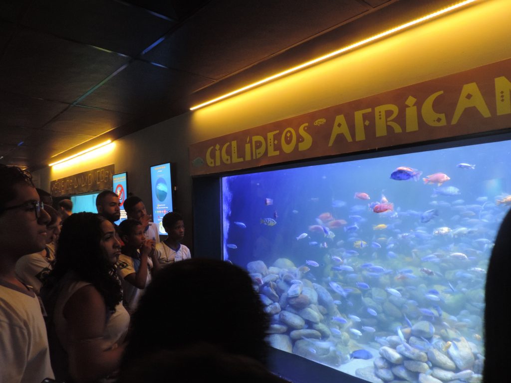 estudantes-de-mesquita-visitam-o-aquario