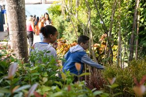 conscientizacao-e-entrega-de-mudas-marcam-o-dia-mundial-do-meio-ambiente
