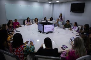 mesquita-sedia-o-ii-encontro-da-conexao-mulher-baixada