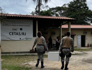 grupamento-tatico-ambiental-resgata-jiboia-em-mesquita