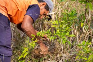 icms-ecologico-mesquita-e-numero-um-no-rio