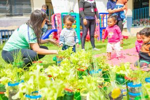 estudantes-colhem-alimentos-organicos-em-plantacao-cultivada-na-escola