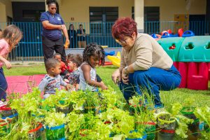 estudantes-colhem-alimentos-organicos-em-plantacao-cultivada-na-escola