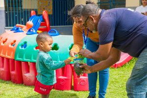 estudantes-colhem-alimentos-organicos-em-plantacao-cultivada-na-escola