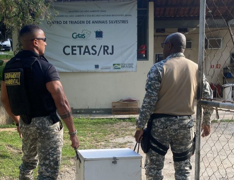 guarda-civil-de-mesquita-resgata-cobra-em-santa-terezinha